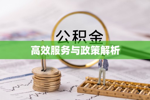 上犹高效服务与政策解析